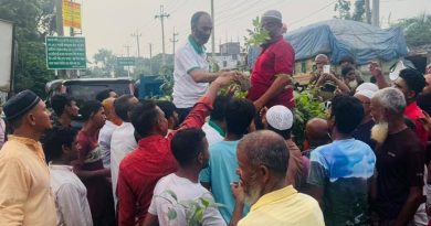 গাছ আমাদের মানসিক স্বাস্থ্যের জন্য অপরিহার্য-এডভোকেট এম এ হান্নান খান
