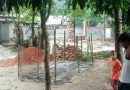 ভোর রাতে কবরে আগুন, আতঙ্কিত এলাকাবাসী
