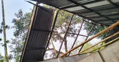 গফরগাঁওয়ে ঝড়ে রেজিয়া নিম্ন মাধ্যমিক বিদ্যালয়টির ক্ষতিগ্রস্ত, পাঠদান ব্যাহত হওয়ার আশঙ্কা