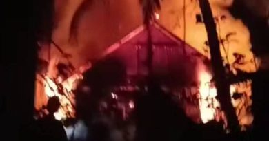 গফরগাঁওয়ে মশার কয়েলের আগুনে পুড়ল ৪ গরুসহ গোয়ালঘর