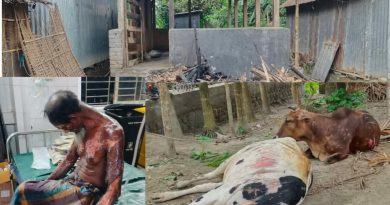 গোয়ালঘরে গরু বাঁচাতে গিয়ে আগুনে দগ্ধ কৃষক