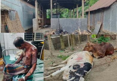 গোয়ালঘরে গরু বাঁচাতে গিয়ে আগুনে দগ্ধ কৃষক